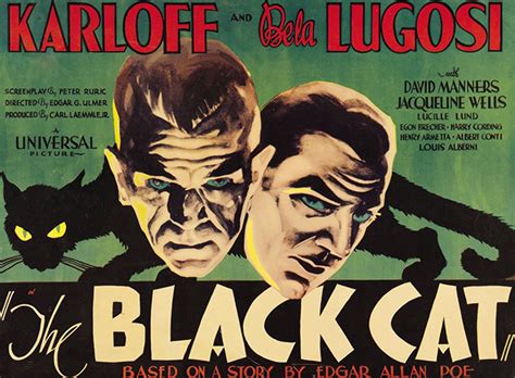 The Black Cat (1934) - Cinema Cats