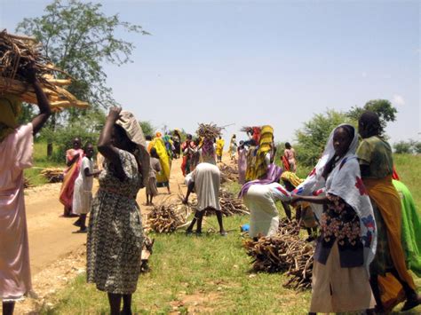 The crisis in Darfur | Humanitarian Practice Network