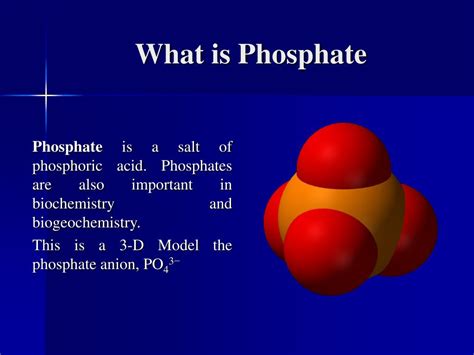 PPT - Phosphates PowerPoint Presentation, free download - ID:4872651