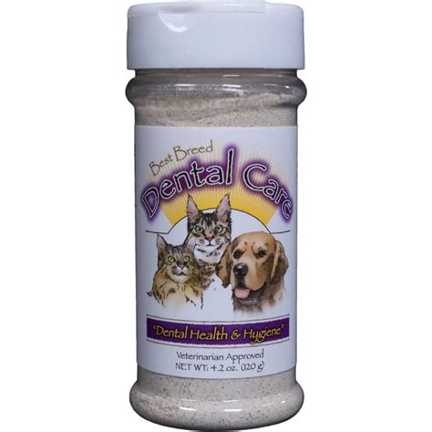 9 Best Tartar Removal Products for Cats in 2024 - Reviews & Top Picks | Pet Keen