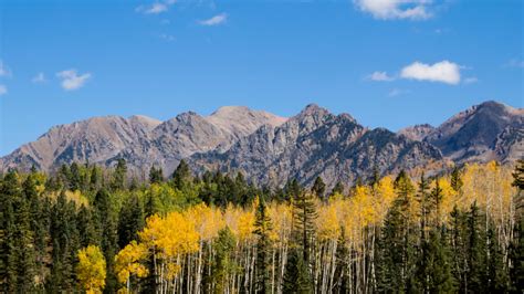 Fall Colors in Colorado: 11 Must-Visit Destinations - Visit USA Parks