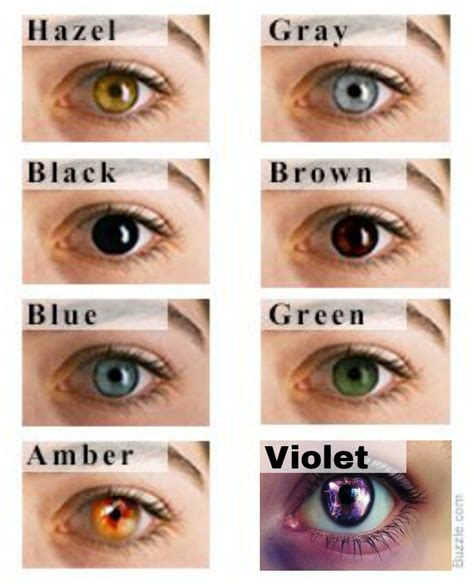 Overview of Eye Color Depictions in 2022 | Eye color chart, Rare eye ...