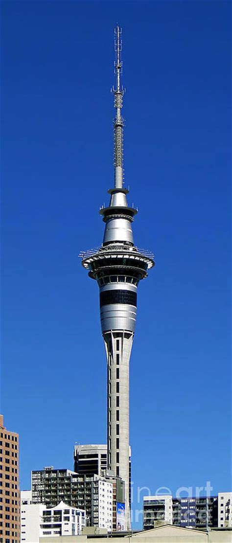 Auckland's Sky Tower Photograph by Sue Melvin