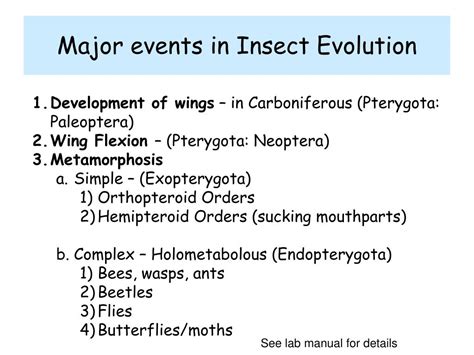 PPT - Dr. Bill Hutchison, 219 Hodson Hall: 612-624-1299, hutch002@umn Amy Morey (TA, Lab Section ...