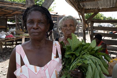 WFP USA Donates $250,000 to WFP’s Haiti Earthquake Relief Efforts