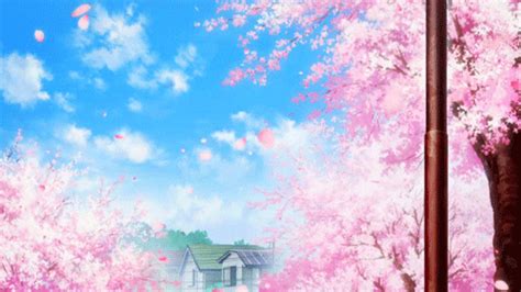 Sakura GIFs - Find & Share on GIPHY