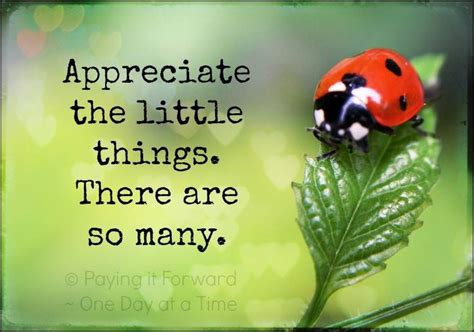 Ladybug Quotes. QuotesGram