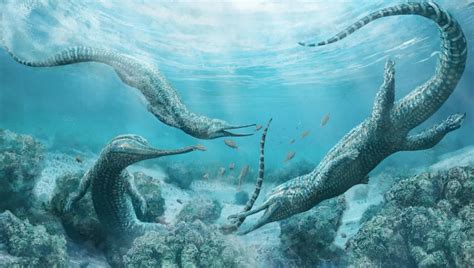 Crocodile-like prehistoric sea monster skeletons found