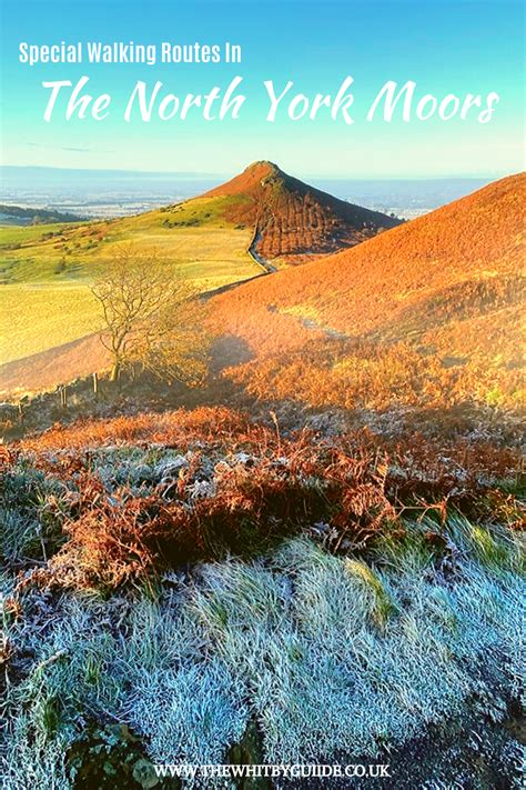 5 Unique Winter Walks In The North York Moors | North york moors, North york, Travel ...