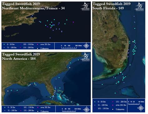 2019 Swordfish Conservation Record | The Billfish Foundation