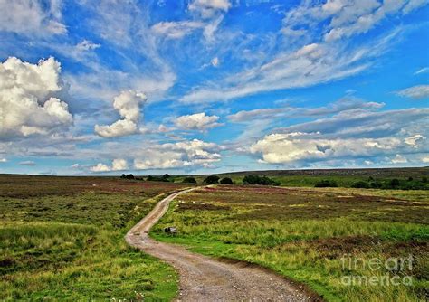 Yorkshire Moors Landscape Photograph by Martyn Arnold - Pixels