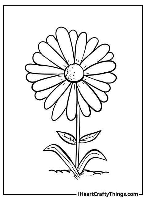 Daisy Flower Printable Coloring Pages | Best Flower Site