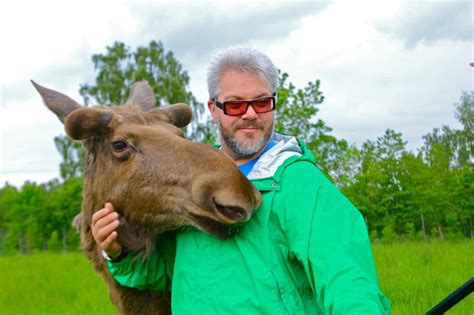 The Moose Whisperer & the Coolest Moose in Sweden | Wildlife travel ...