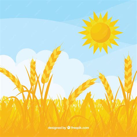 Free Vector | Flat wheat background