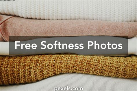 100+ Amazing Softness Photos · Pexels · Free Stock Photos