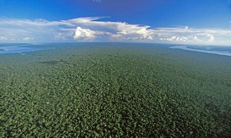 Amazon Rainforest News: Uncontacted tribe found deep in Amazon rainforest