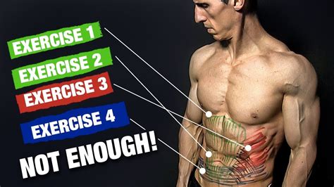 Rib Cage Muscles Workout / Hanhchampion Blogspot Basic Chest Exercises - Muscles that move the ...