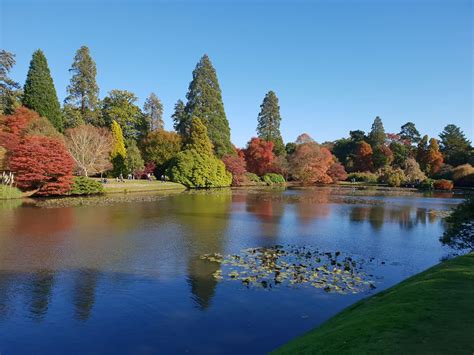 Autumn foliage at Sheffield Park Gardens - Sussex Bloggers