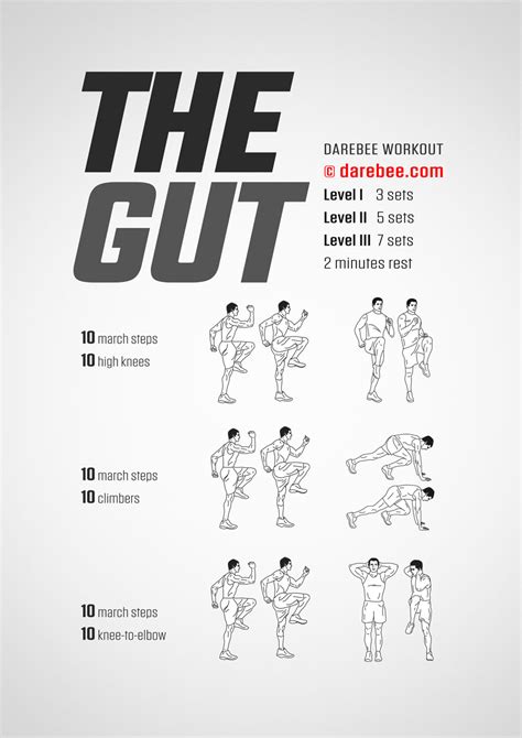 The Gut Workout