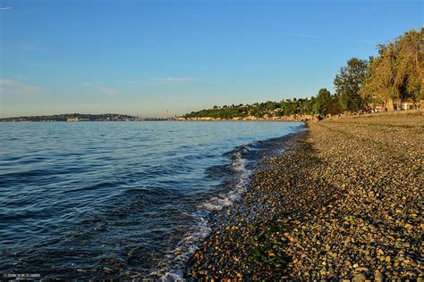 Alki Beach Park Photograph by Sonja Peterson Photography | Pixels