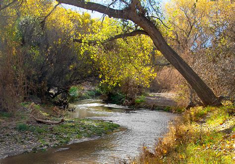 Santa Cruz River Near Tumacácori, Arizona - Bob Russman