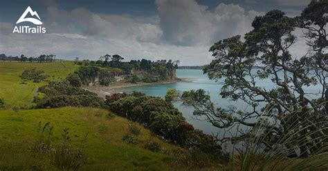 Best hikes and trails in Long Bay Regional Park | AllTrails