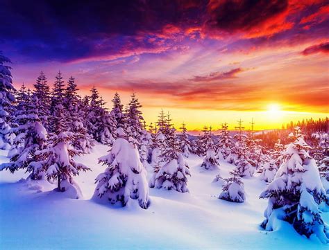 Winter sunrise, winter, colorful, trees, sky, sunrise HD wallpaper | Pxfuel