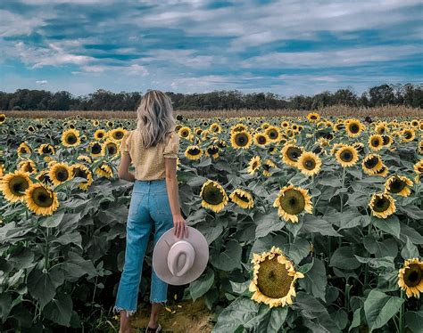 Sunflower field photography- what to wear in a sunflower field | fall fashion | casual fall ...