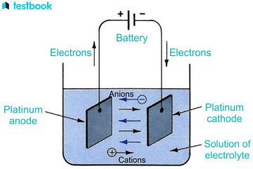 Know Difference Between Galvanic Cells And Electrolytic Cells