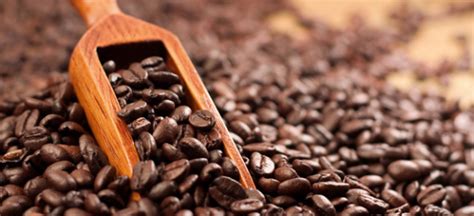 Natural Caffeine Manufacturer, Supplier from Bangalore