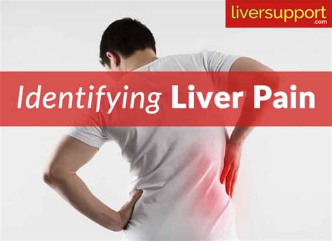 Identifying Liver Pain - LiverSupport.com