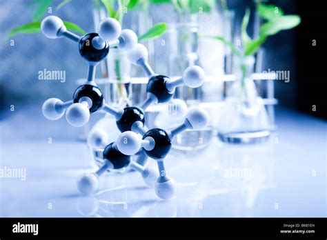 Science experiment and plants Stock Photo - Alamy