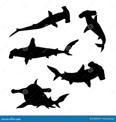 Hammerhead Shark Set Vector Stock Vector - Image: 51635147