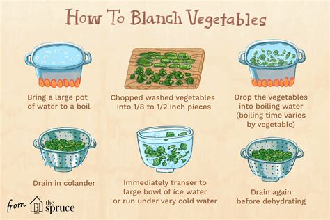 Blanching Vegetables Before Drying Them