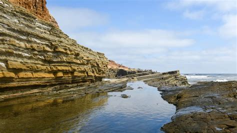 Sea Creatures Flourish at Point Loma Tide Pools at Cabrillo National ...