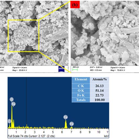 FESEM image of Pluronic F-127 coated Fe2O3 NPs. Lower (a) and higher ...