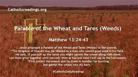 Parable of the Wheat and Tares (Weeds) - Bible Verse of the Day