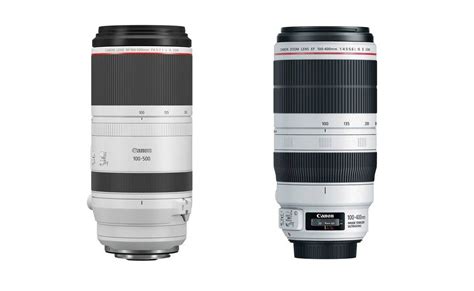 Bird Photography Review: Canon RF 100-500mm vs EF 100-400mm II | Canon Camera Rumors