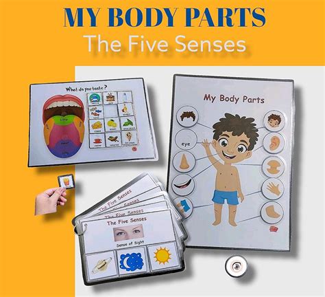 Montessori Kids Learning Busy Book My Senses Learning Educational Book ...