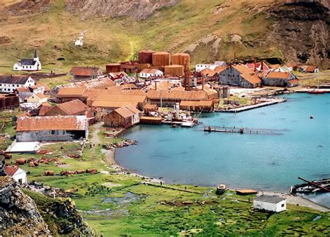 Grytviken, South Georgia and the South Sandwich Islands | Tourist Destinations