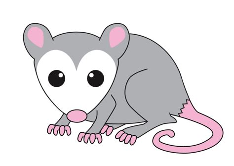 Possum Clipart & Possum Clip Art Images - HDClipartAll