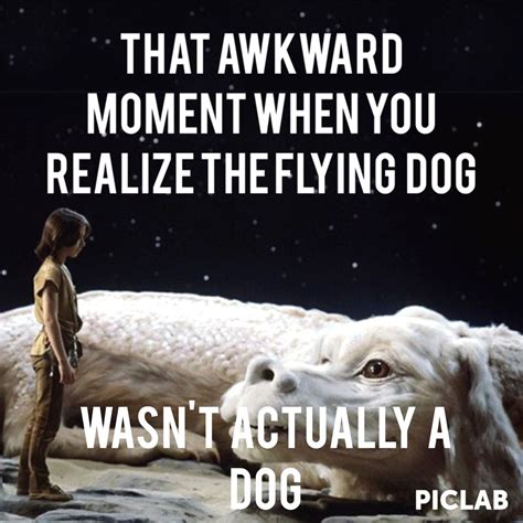 The Neverending Story. I was sure it was a flying dog. Funny meme.