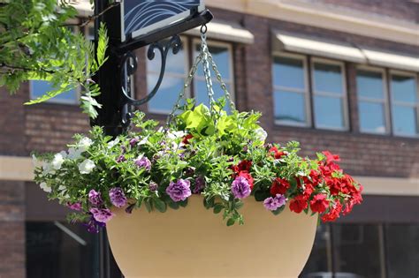 Idaho Falls Historic Downtown Flowers | idahofallsmagazine.com