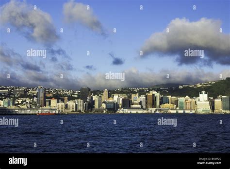 Wellington skyline,new zealand Stock Photo - Alamy