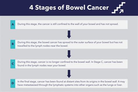 Bowel Cancer 101: Causes, Symptoms, Diagnosis & Treatment : Homage Australia