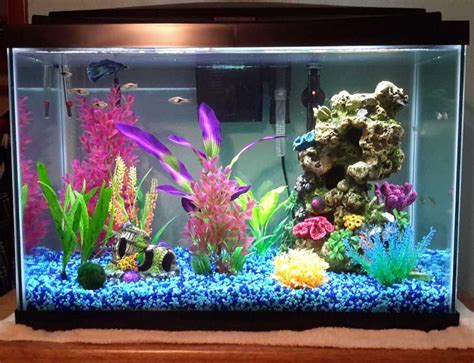 Top 7 Best 20 Gallon Aquariums in 2018 Market - List Updated: June, 2020 | 20 gallon aquarium ...