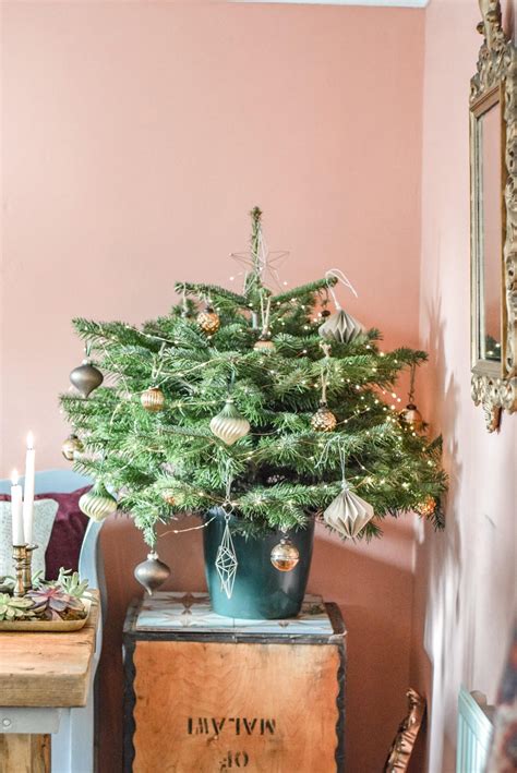 Decorate with Dobbies this Christmas... - I am Hayley Stuart