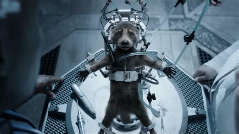 What GUARDIANS OF THE GALAXY VOL. 3 Revealed about Rocket's Backstory with the High Evolutionary ...