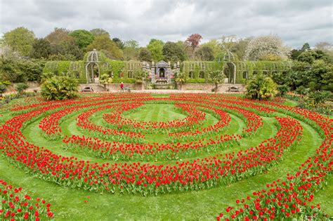 Head Gardener News - April 2020 - Arundel Castle & Gardens