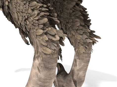 3D velociraptor feathers rigged - TurboSquid 1612371